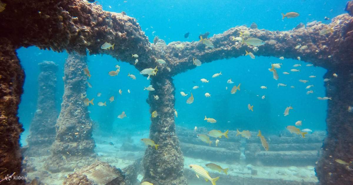 Private Key Largo Reef Snorkeling Escape