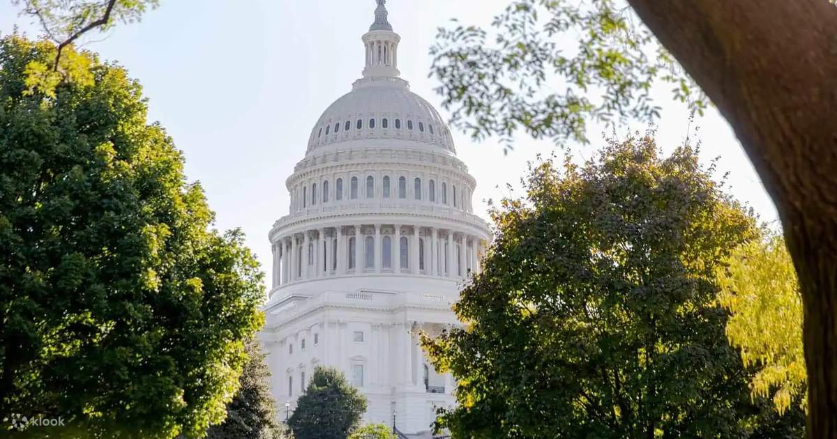 Elite VIP D.C. Monument Sightseeing Experience