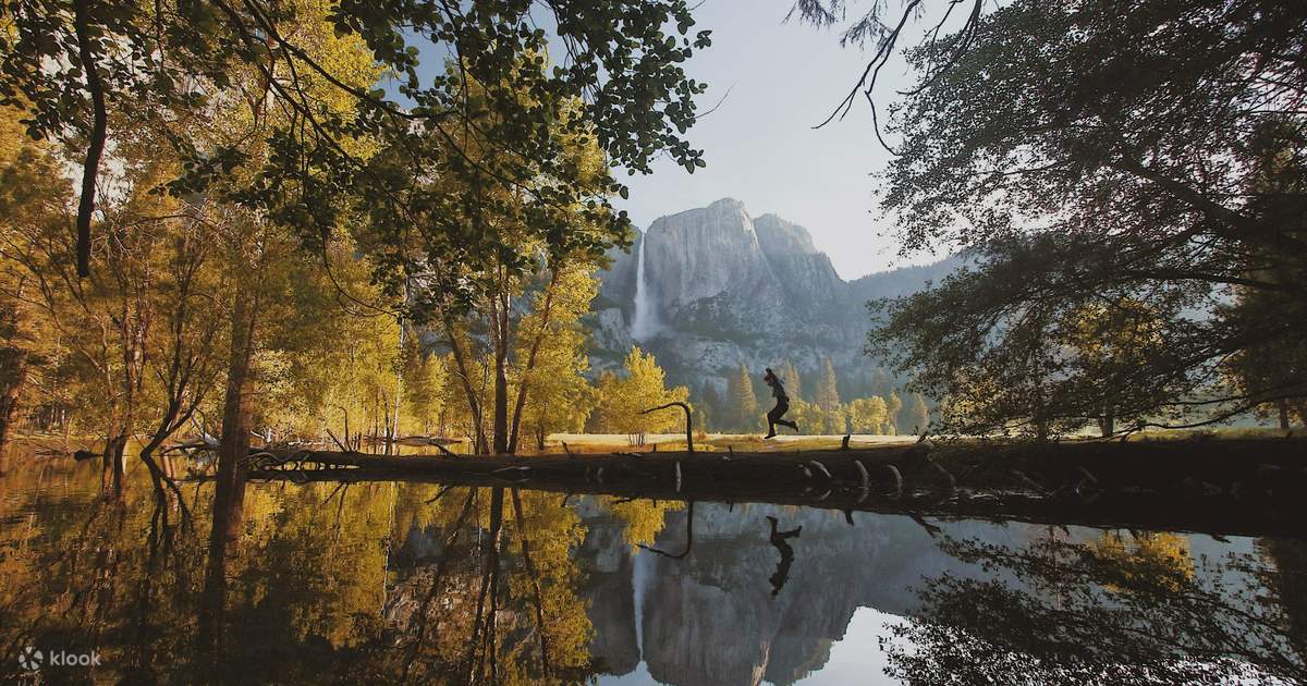 Premier Yosemite National Park Day Expedition